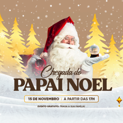 Papai noel